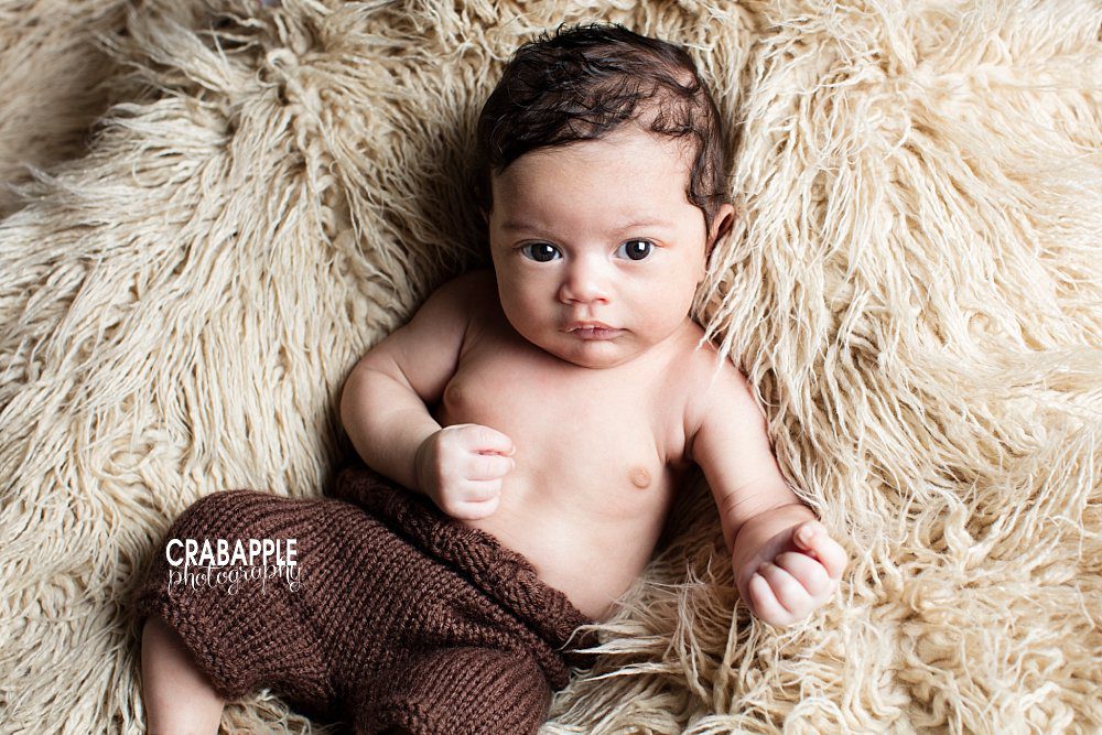 1 month old baby portraits cambridge