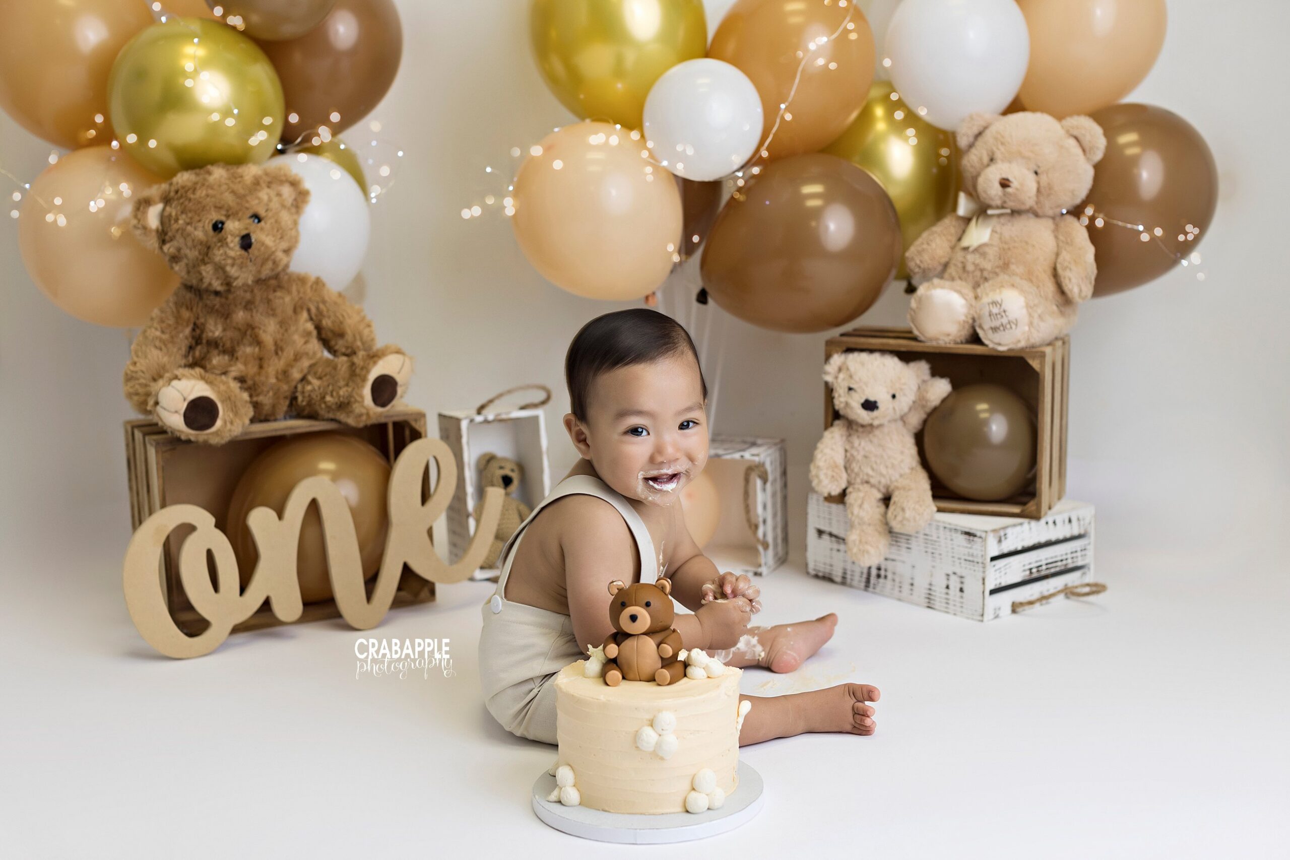 teddy bear first birthday cake smash setup