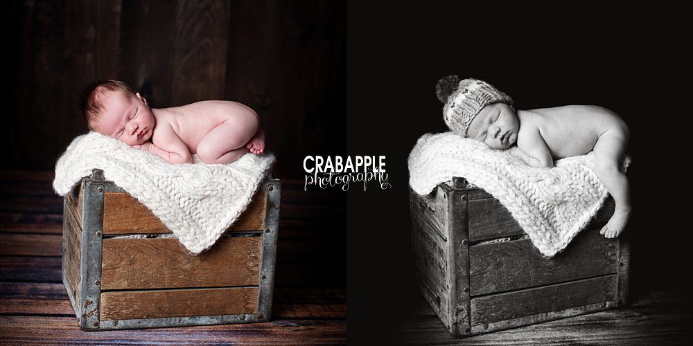 newborn photography littleton