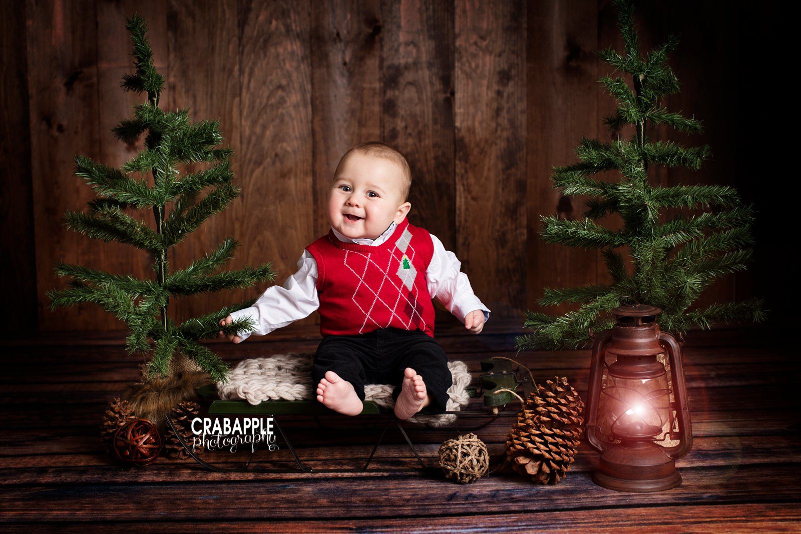 lexington baby christmas portraits