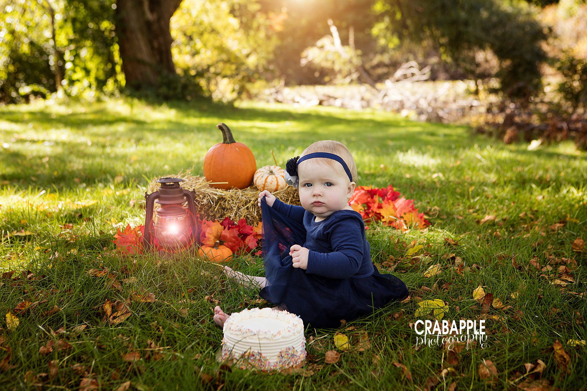 Danvers Baby Photographer