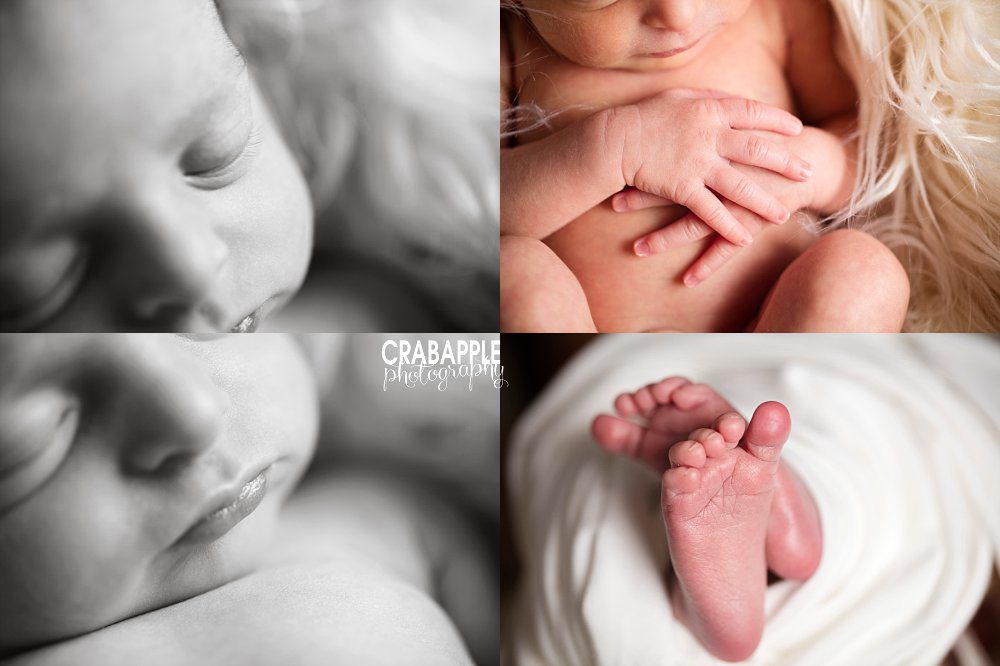 massachusetts newborn baby photographer