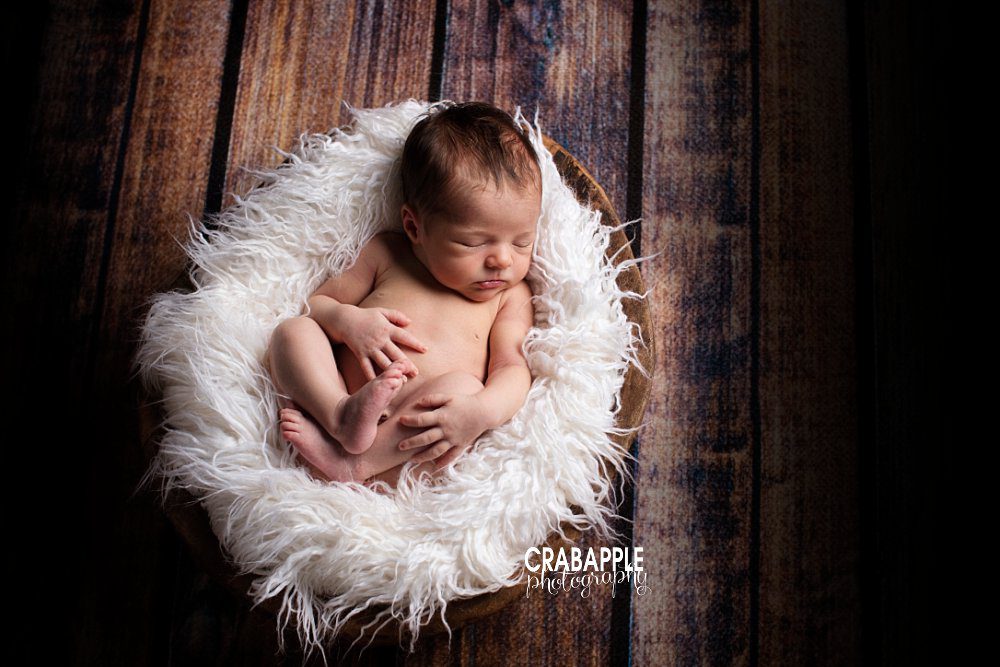chestnut hill newborn photography