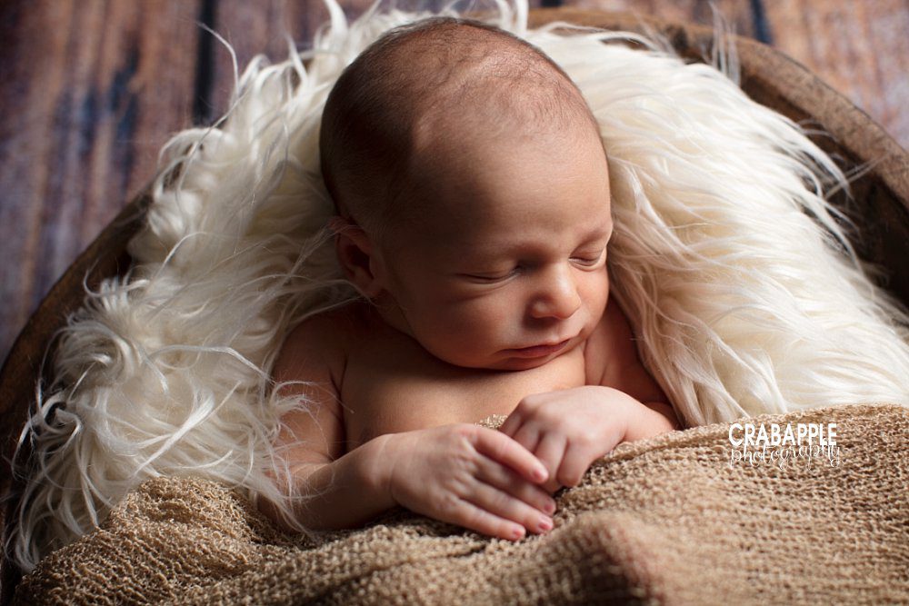 somerville newborn photography