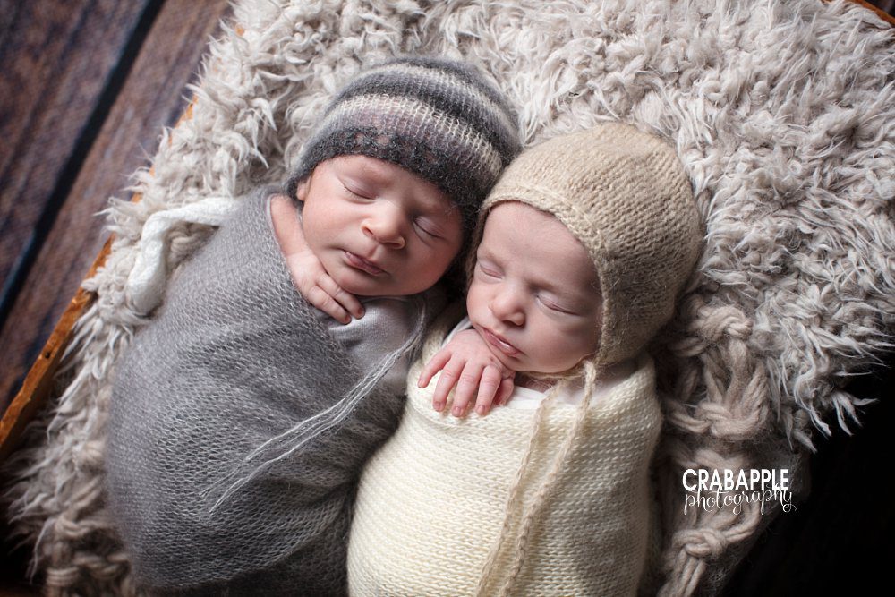 twin baby photography arlington