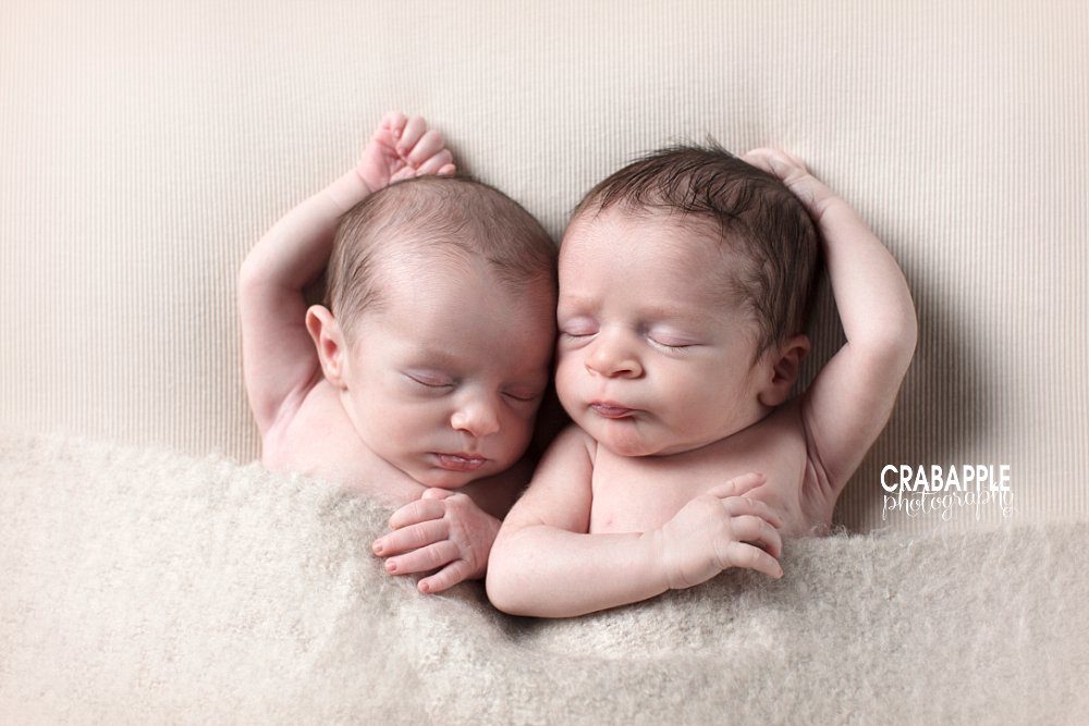 twin newborn photographer arlington ma