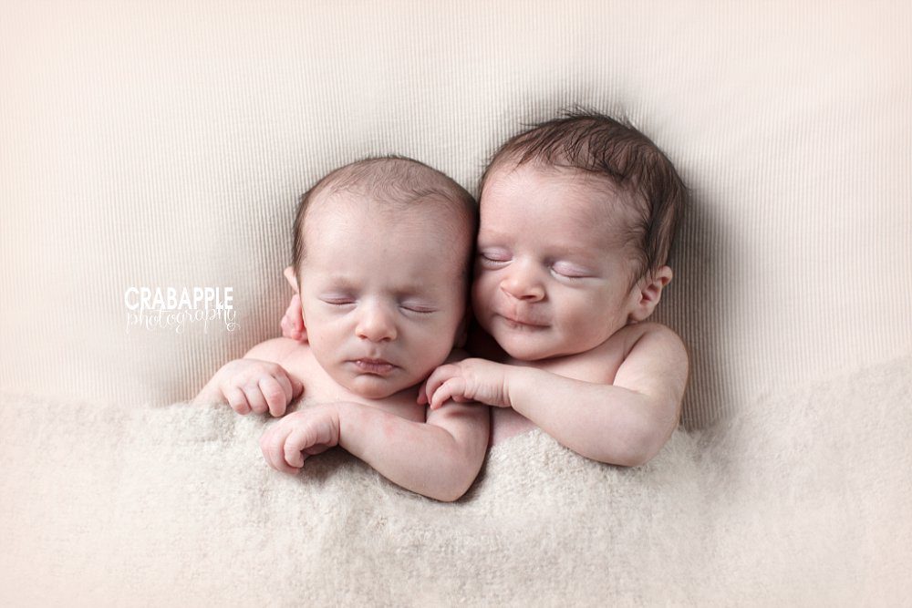 twin newborn photography arlington ma