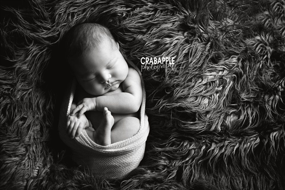 black and white newborn photos brookline
