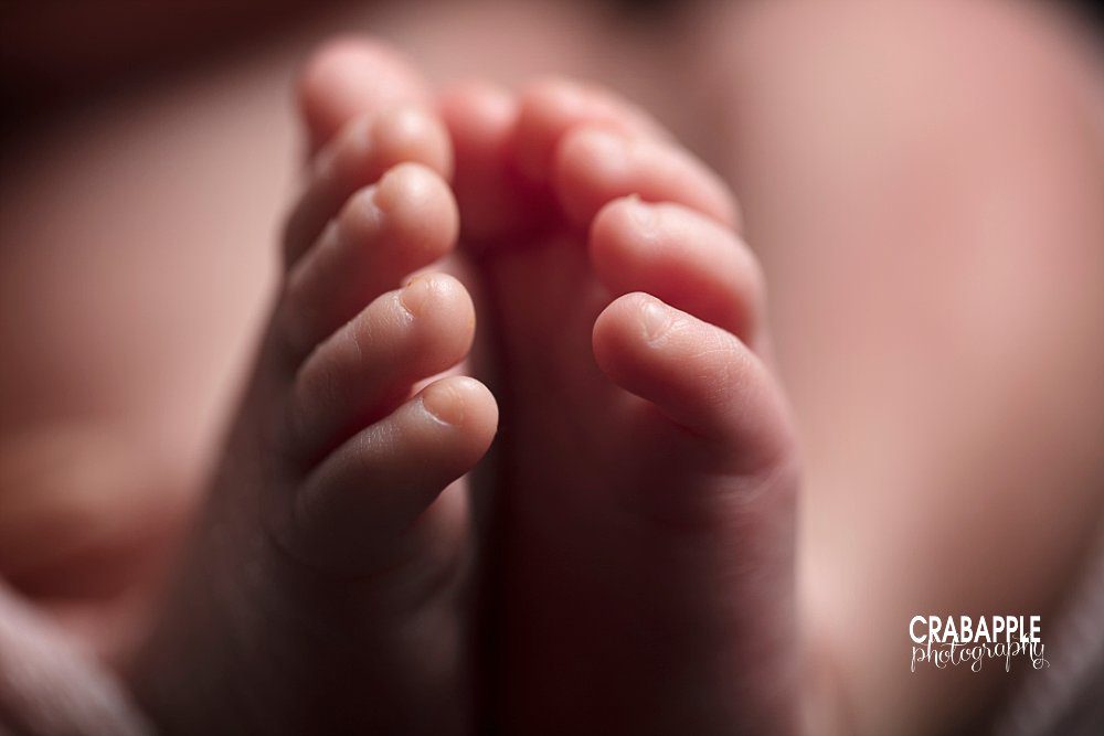 newborn toes photo brookline