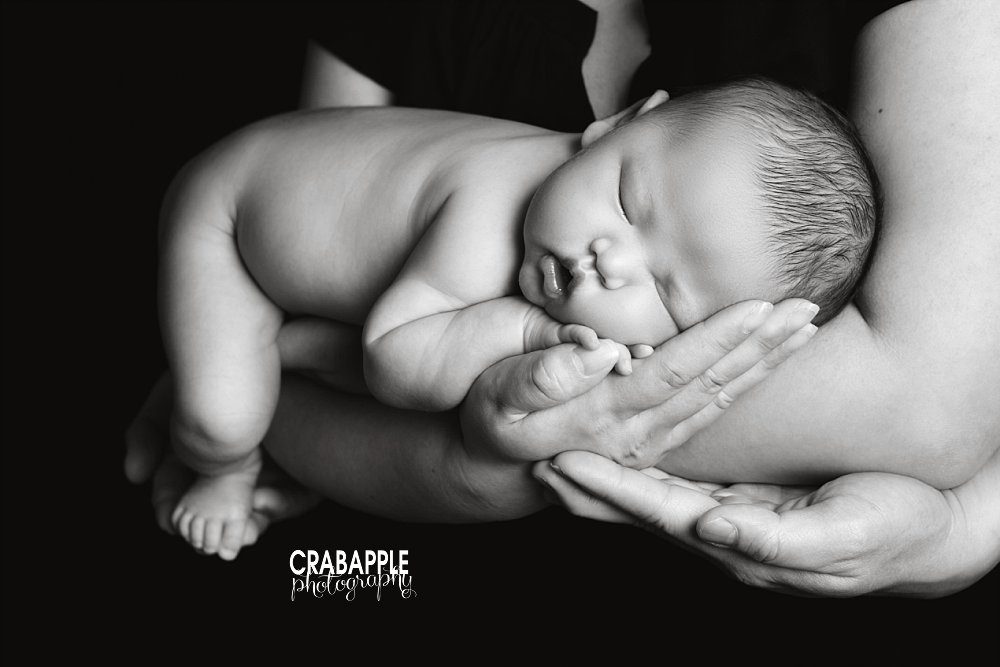 black and white newborn portraits brookline
