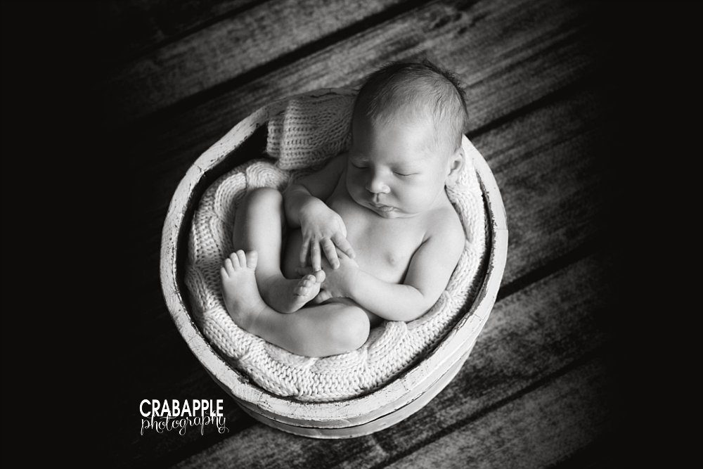 quincy newborn photography