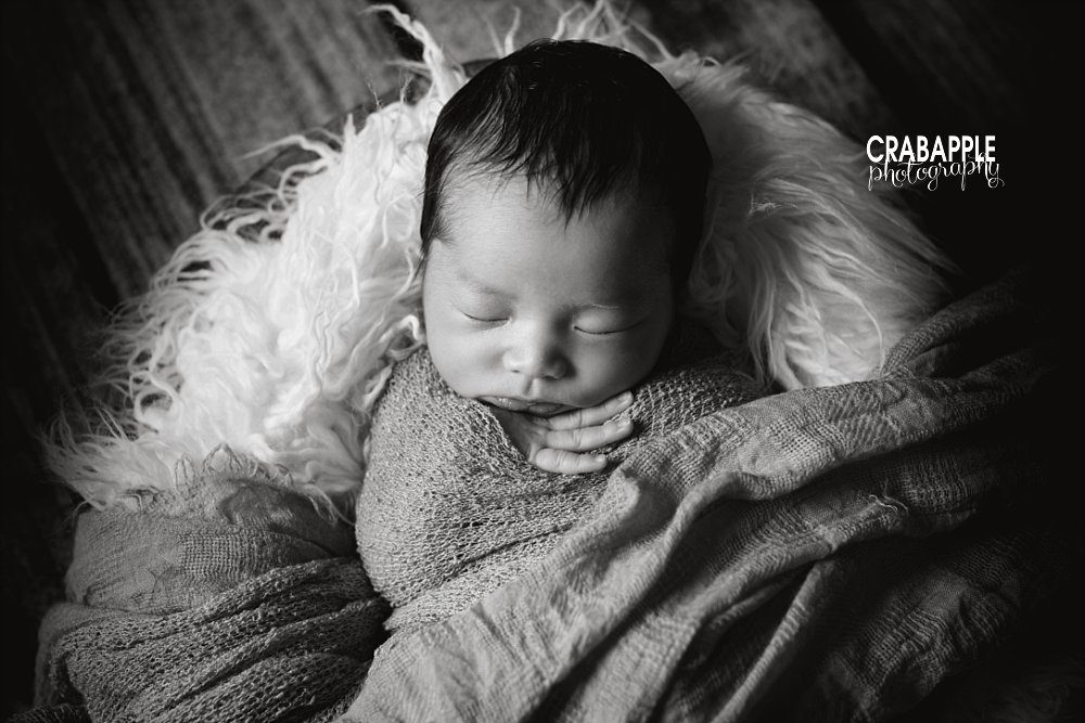 black and white newborn portraits boston