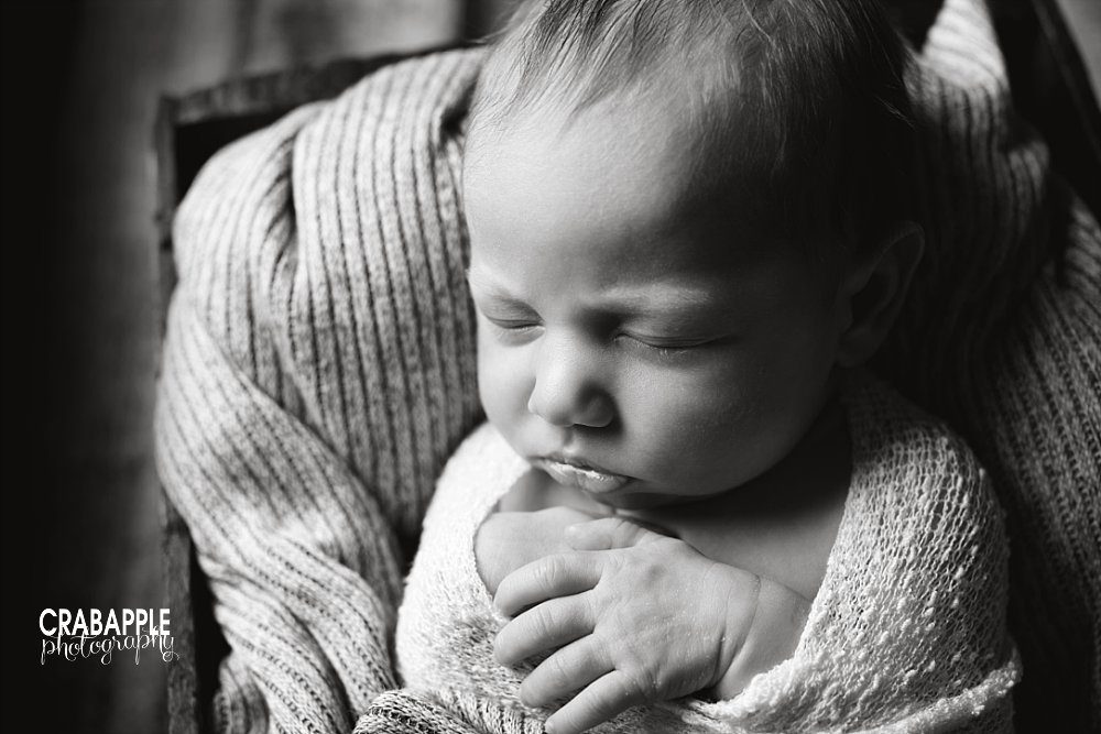 black and white newborn photos winchester ma