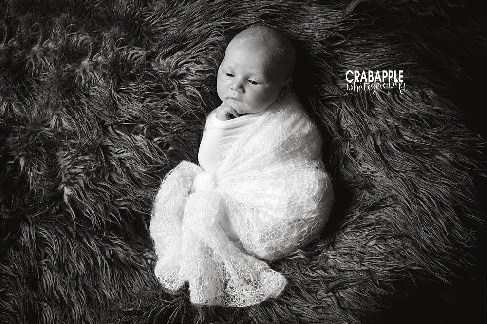 black and white newborn photo boston