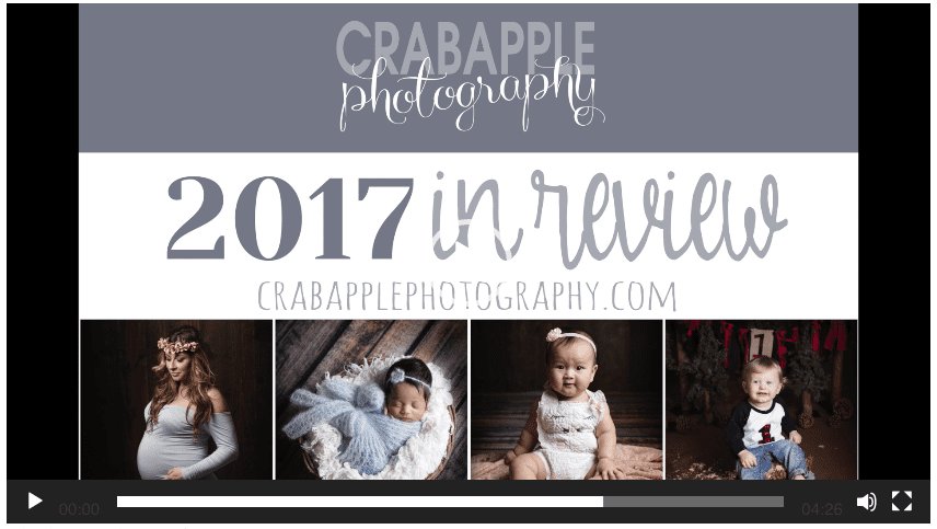 Crabapple Photography Year in Review