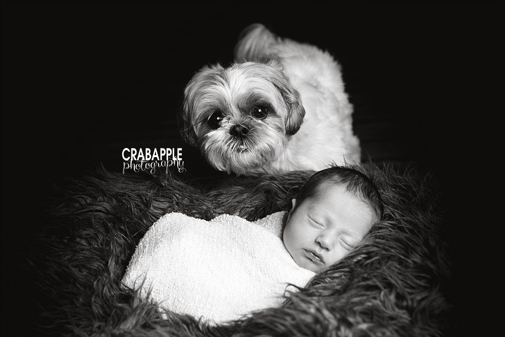 ma new baby photos with dog