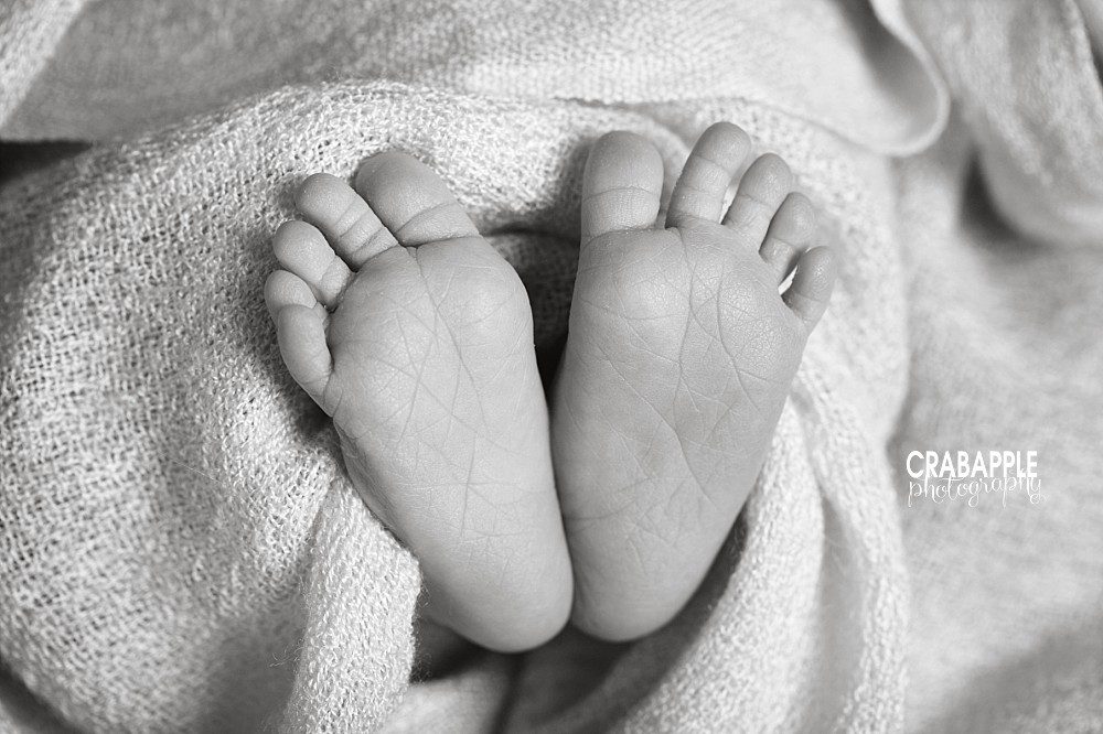 newborn portraits toes