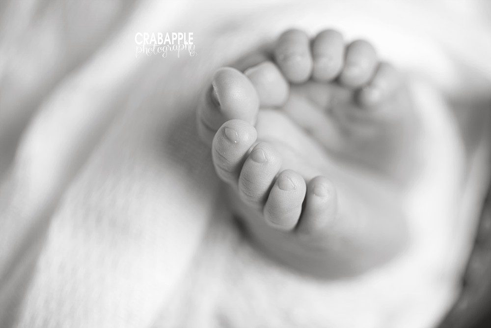 bedford black and white newborn photos