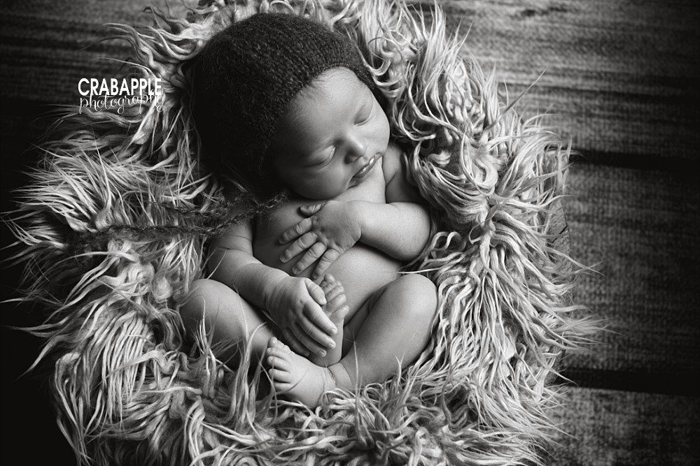 dracut ma black and white newborn photos