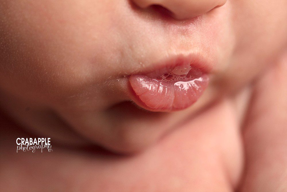 newborn baby lips photos boston