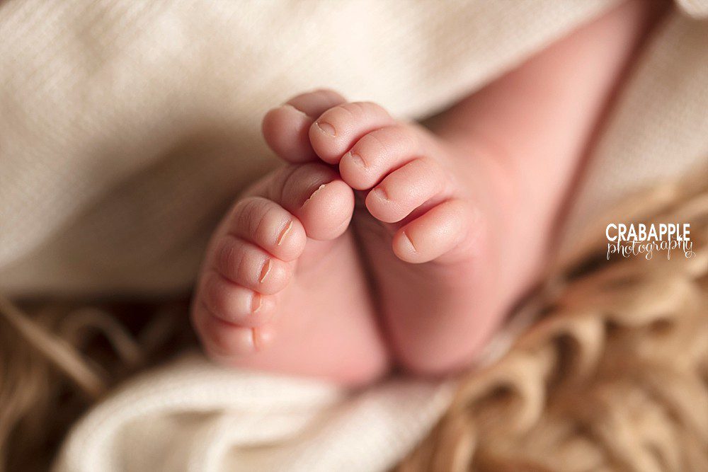 newborn baby toes photos boston