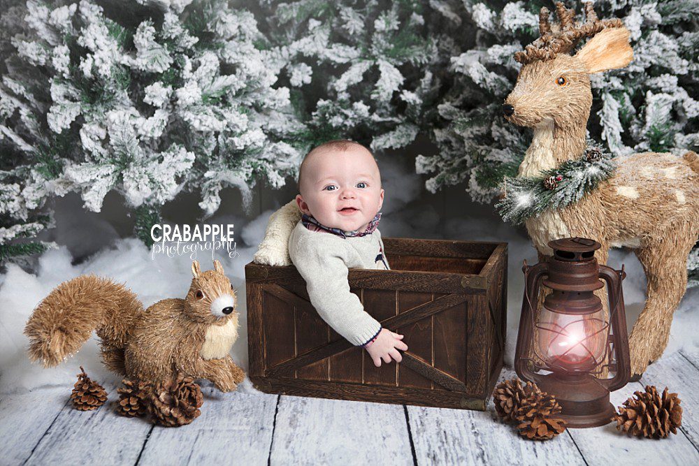 massachusetts baby photos christmas card