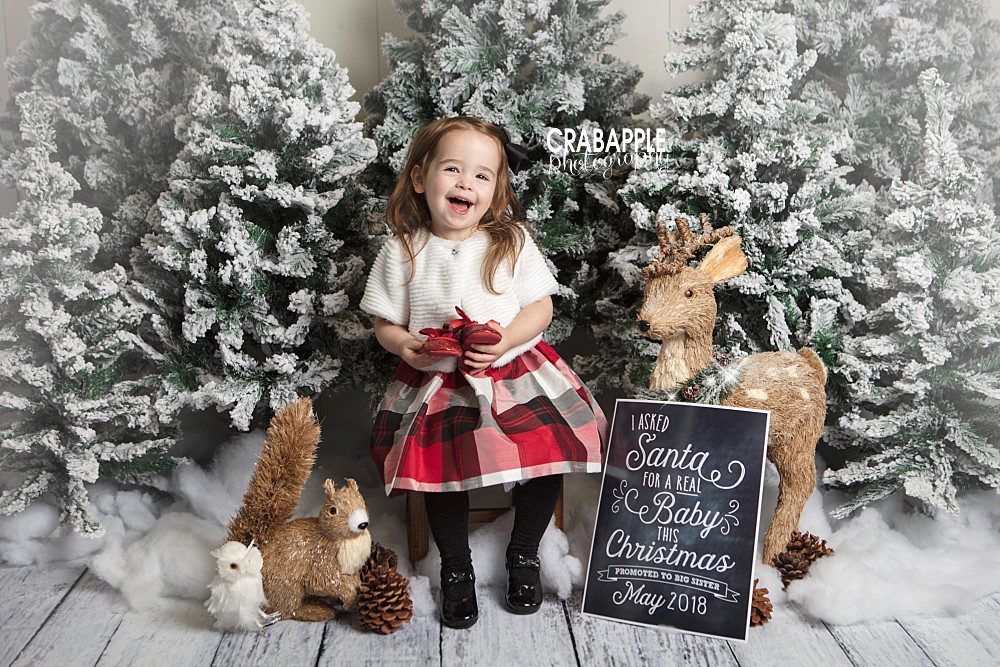 Holiday Pictures Near Me Christmas Portraits · Crabapple Photography