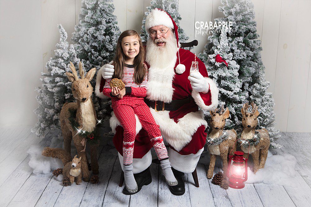 where to get portraits with santa