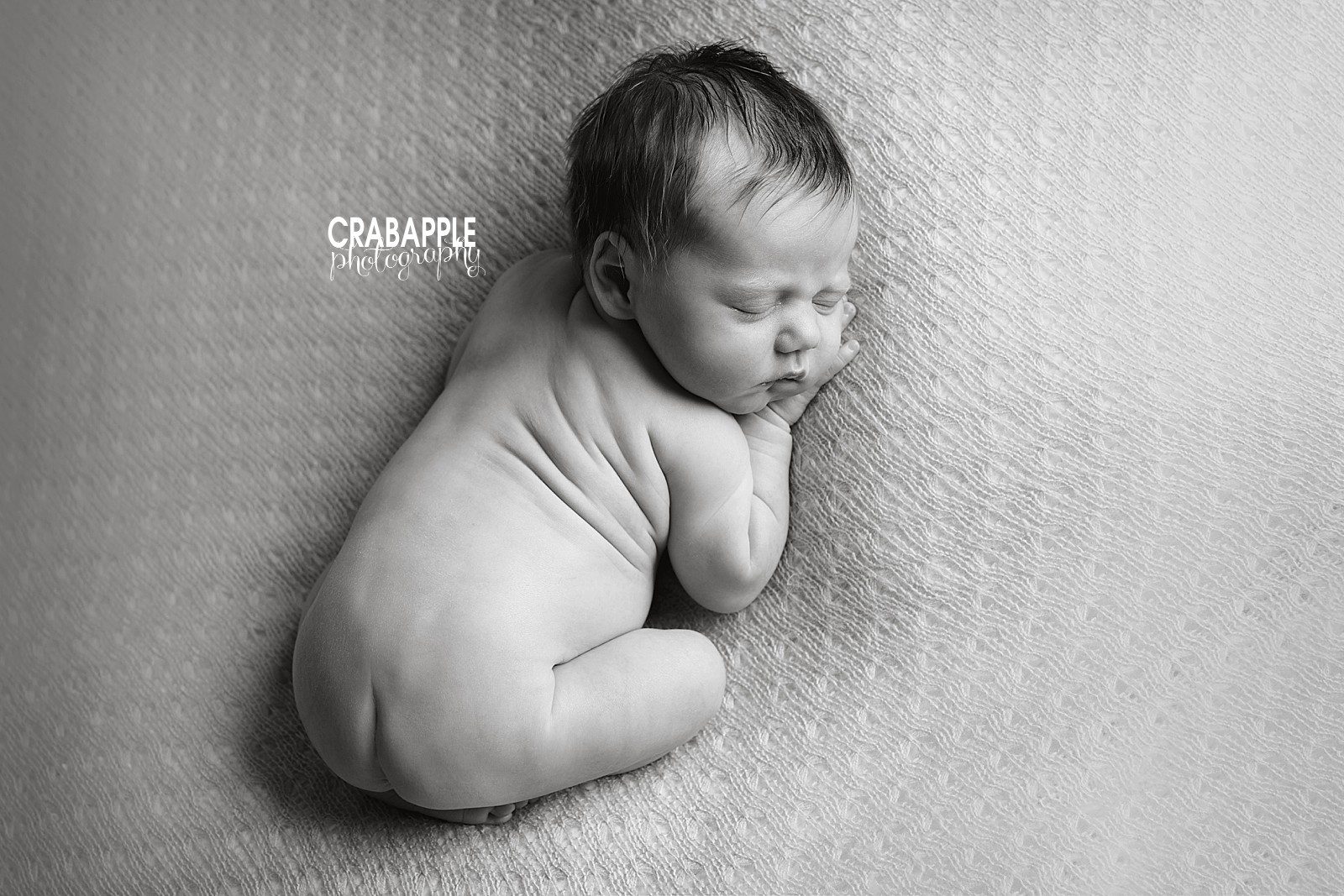 black and white newborn photos boston 