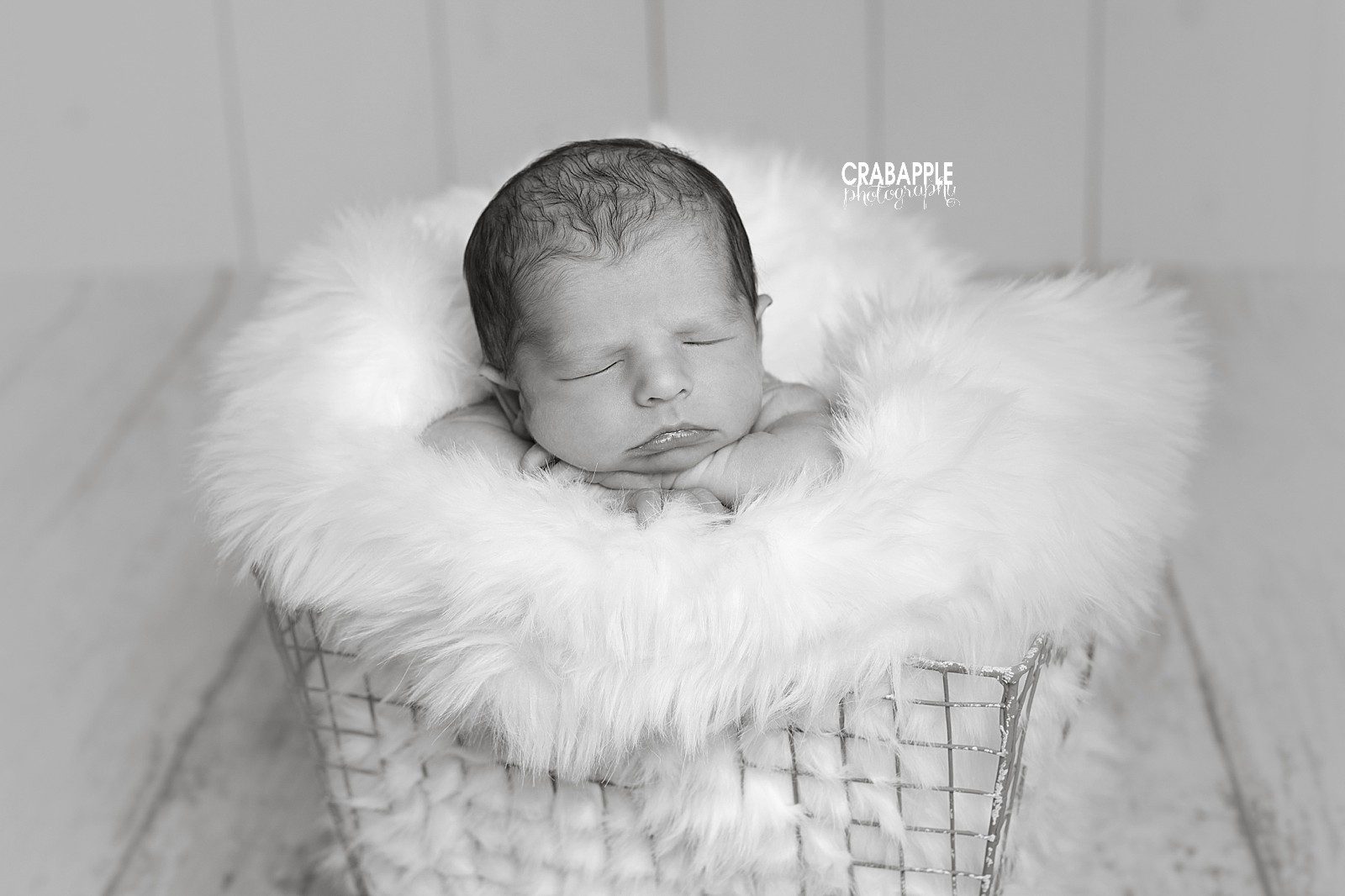 black and white newborn photos chelmsford