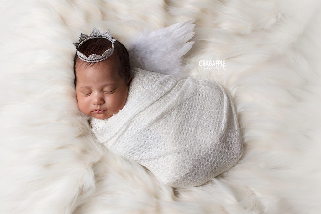 boston newborn photos with angel wings