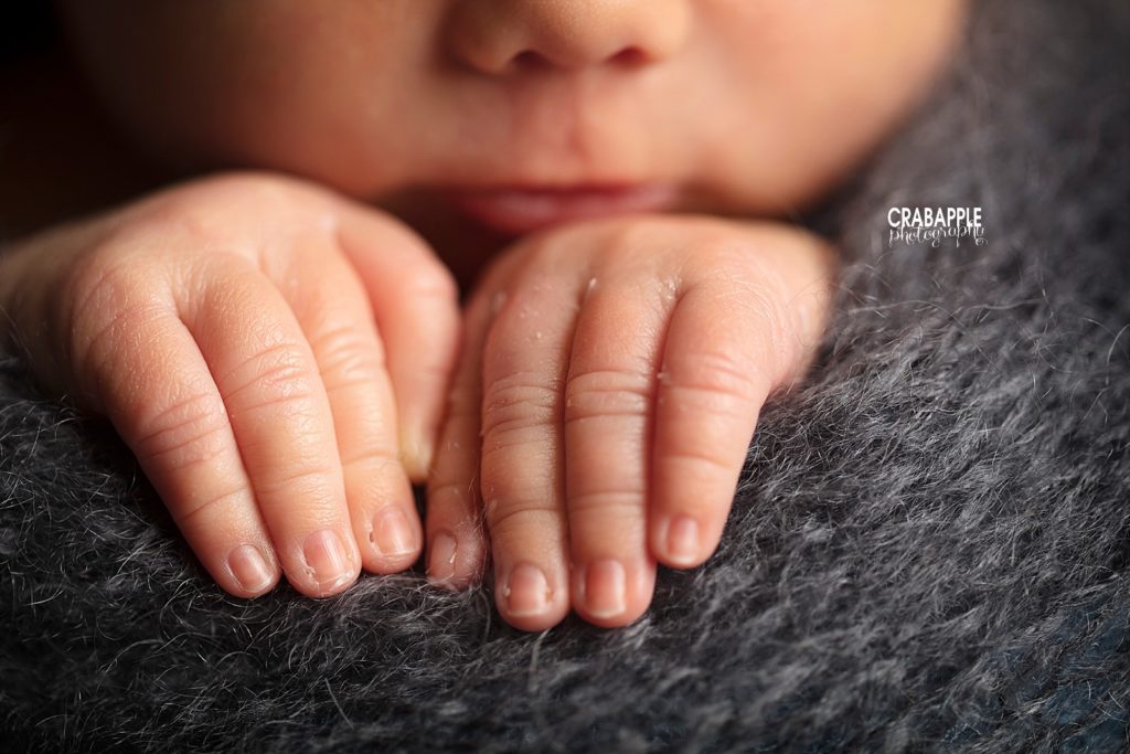 newborn details photography boston