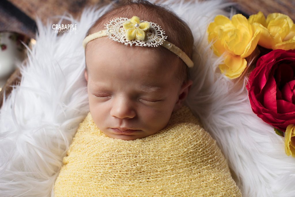 disney princess belle newborn photos