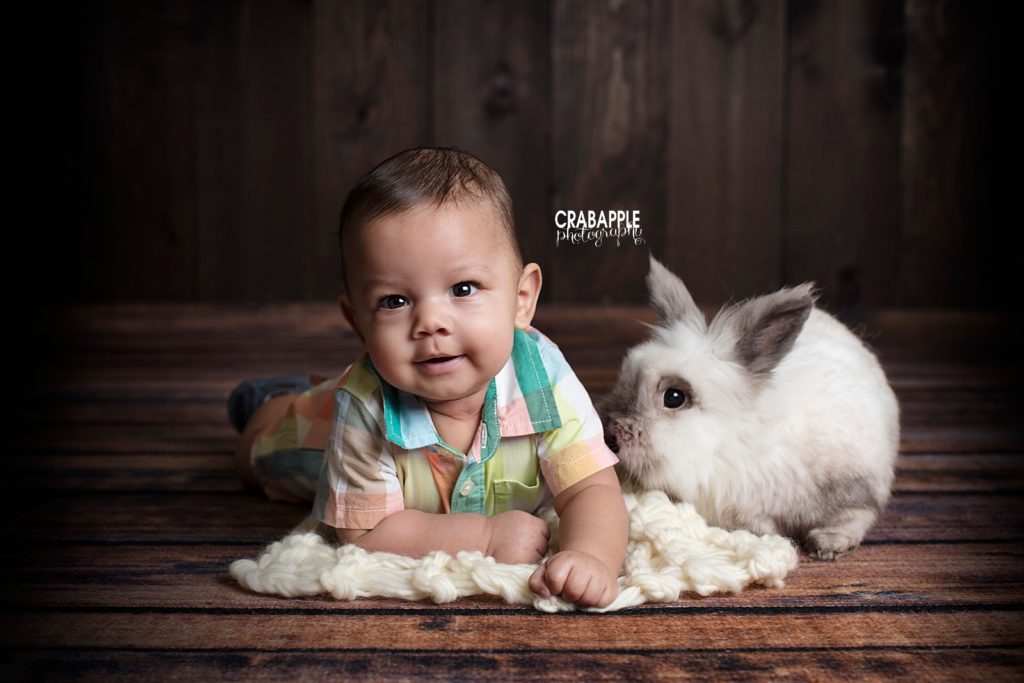 easter baby portraits with bunny merrimack valley