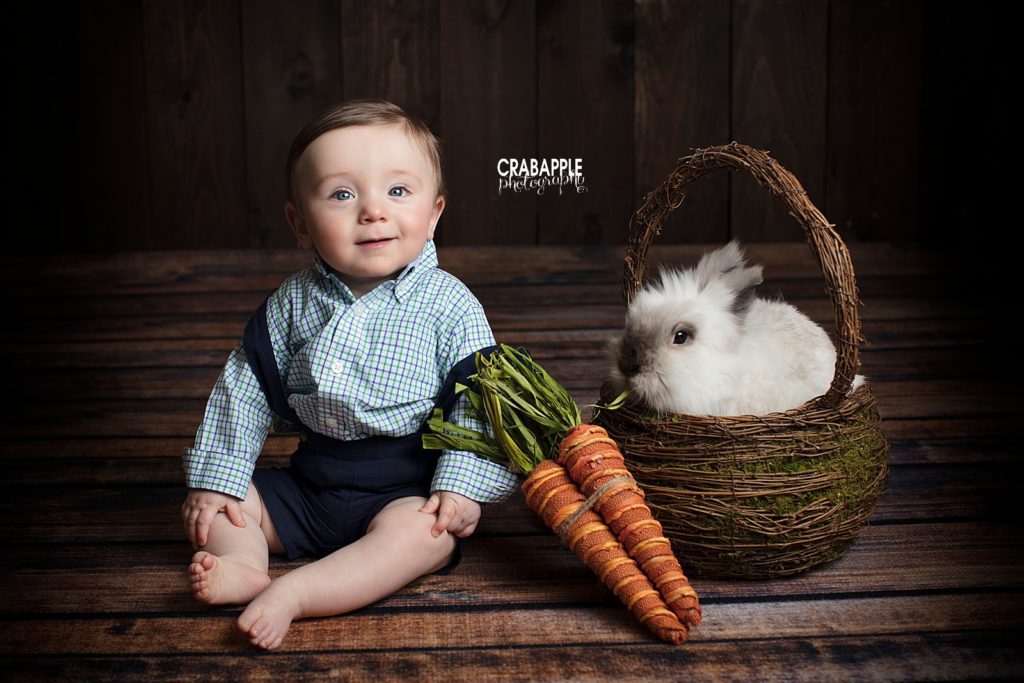 easter photos with real bunny massachusetts