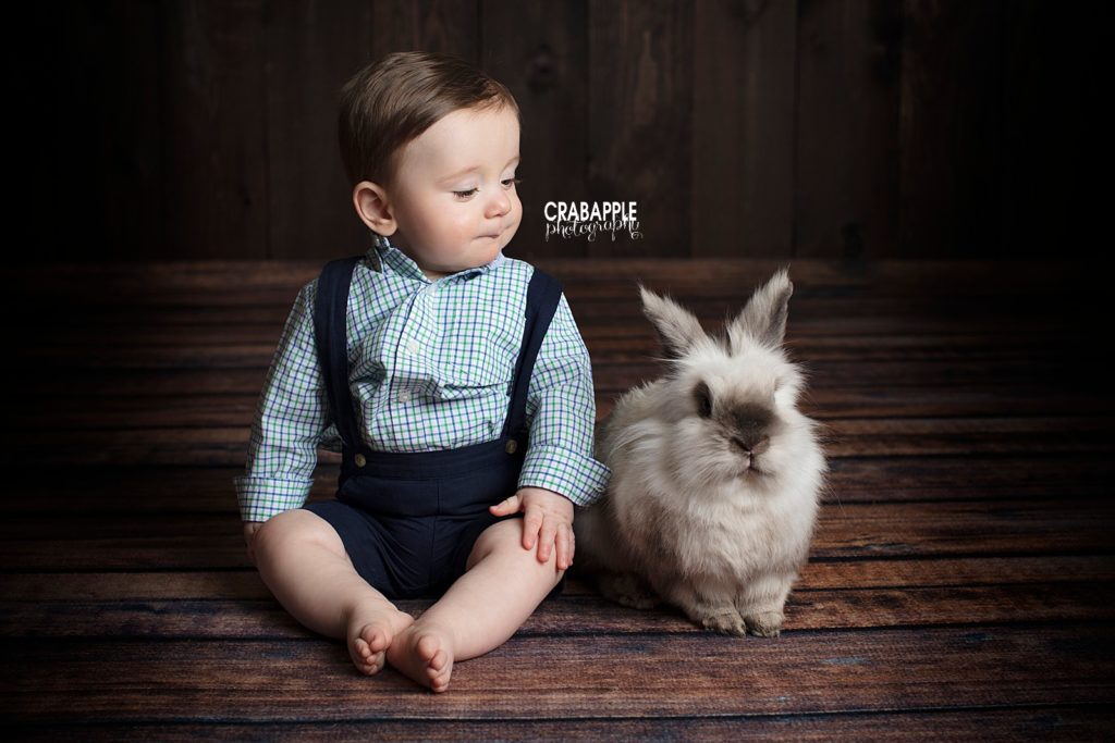 easter portraits with real bunny andover 