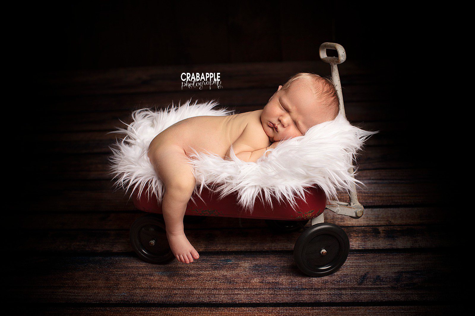 Southern NH Newborn Photos :: Little Guy A · Crabapple Photography