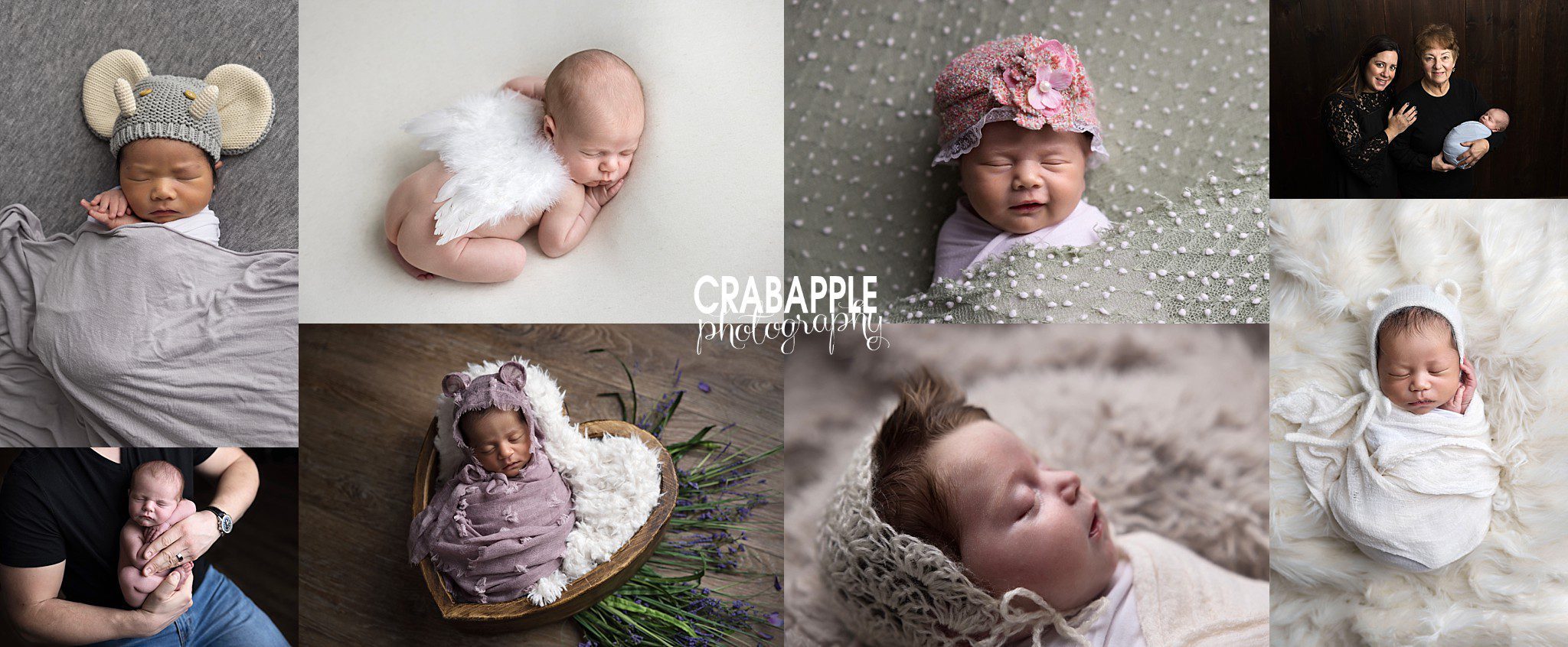 Collage of favorite newborn photography moments including family portraits, sleepy poses, and newborn details
