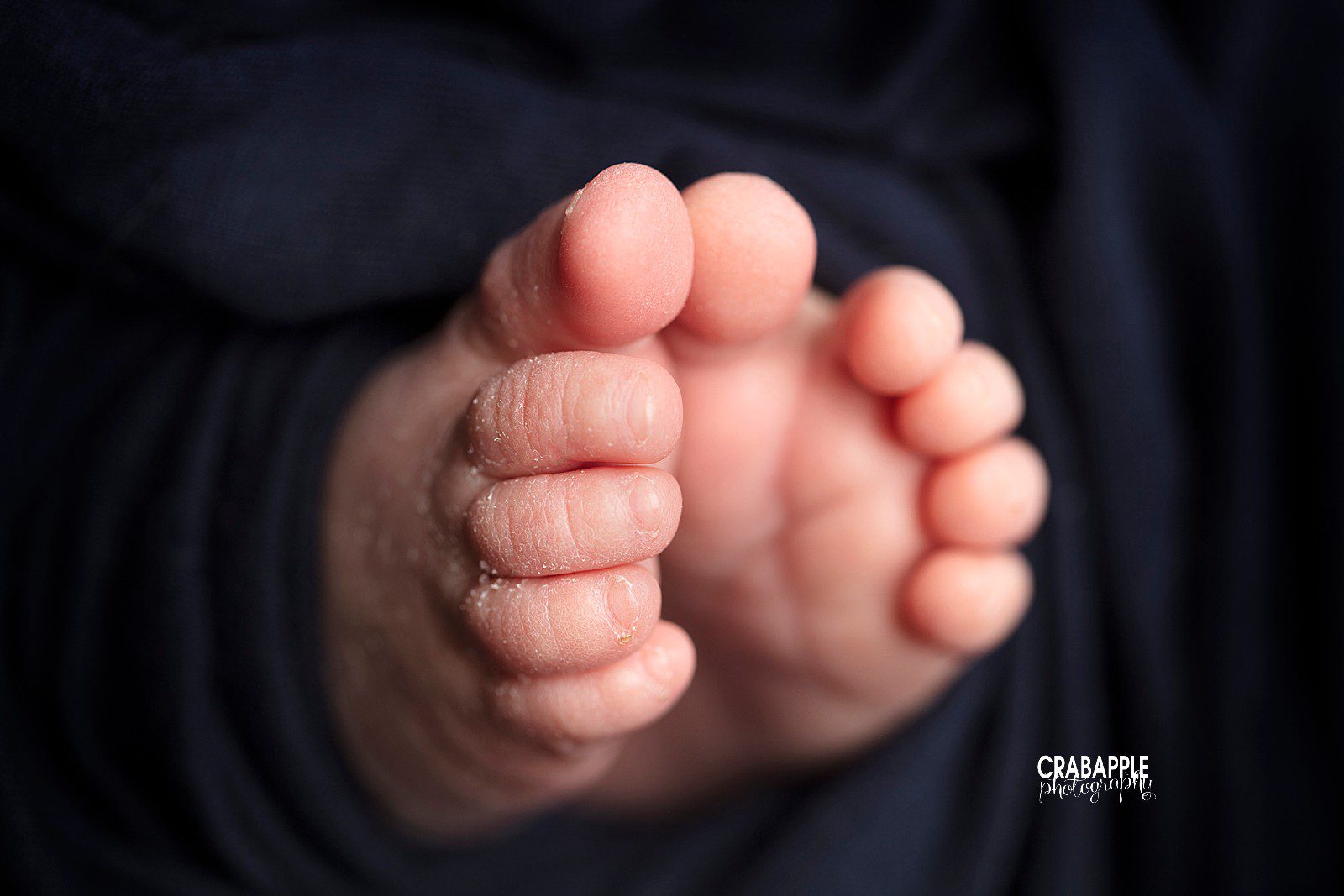 medford ma newborn toes photos