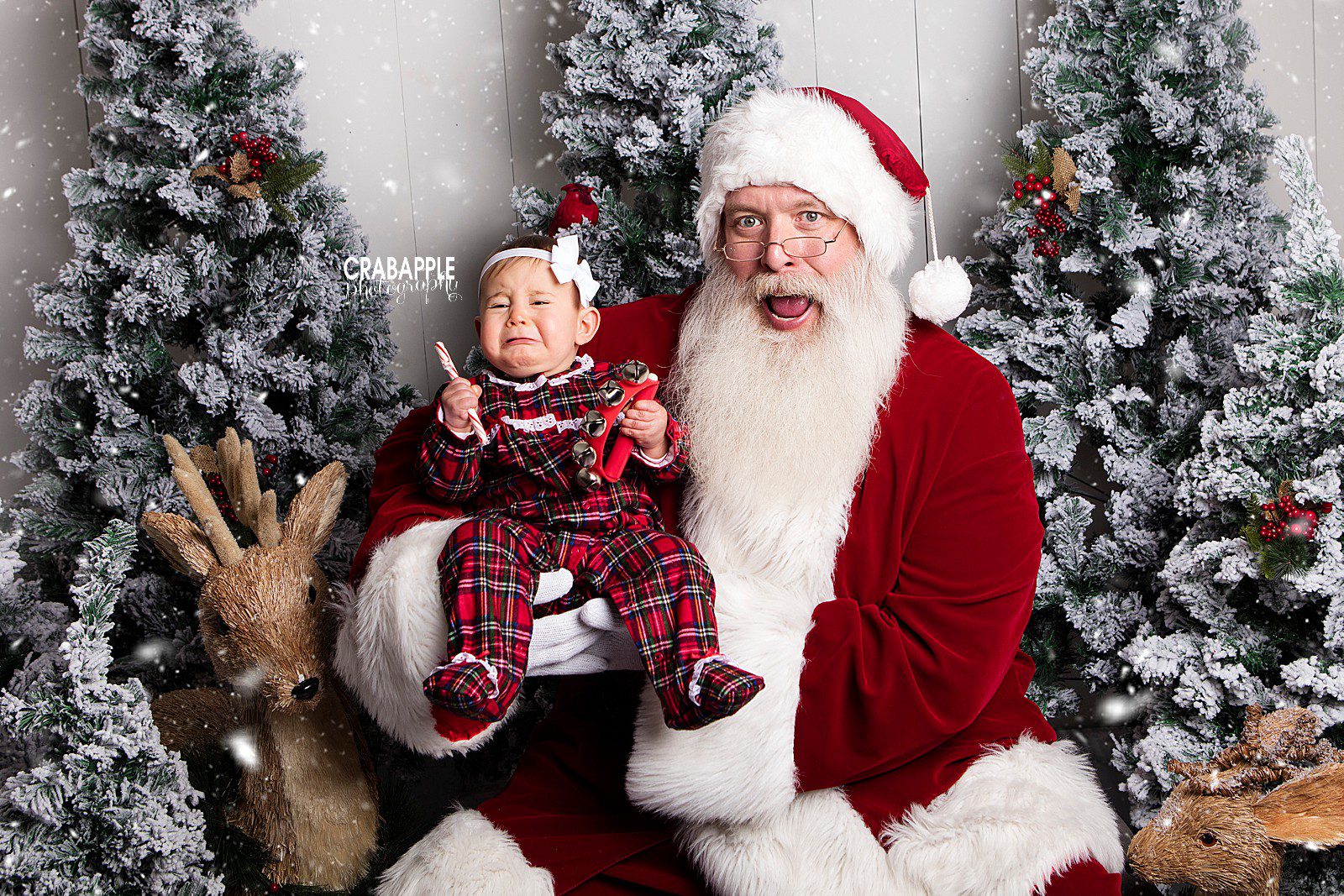 merrimack valley baby's first christmas photos with santa