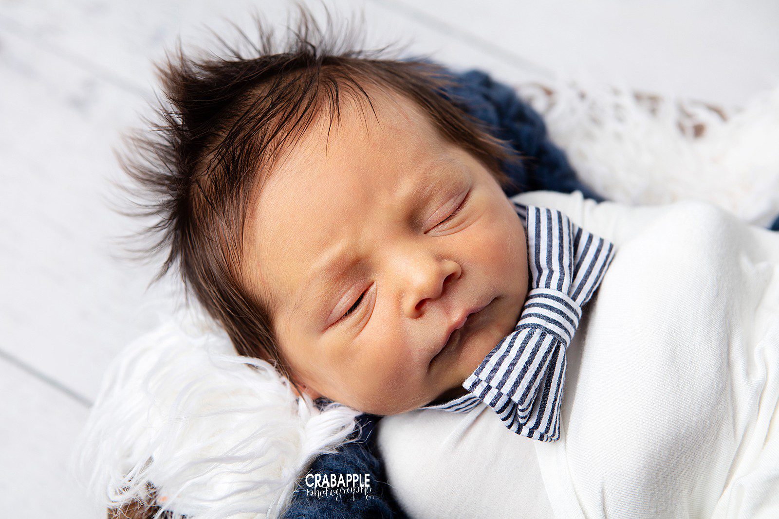newborn photos with bowtie boston
