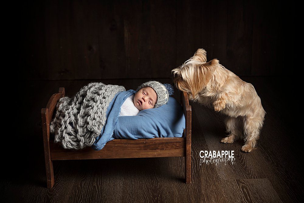 newborn portraits including pet dog