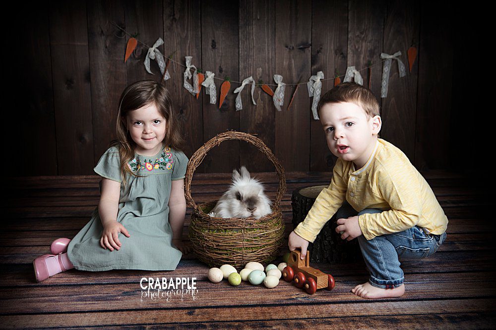 andover ma child photography with bunny