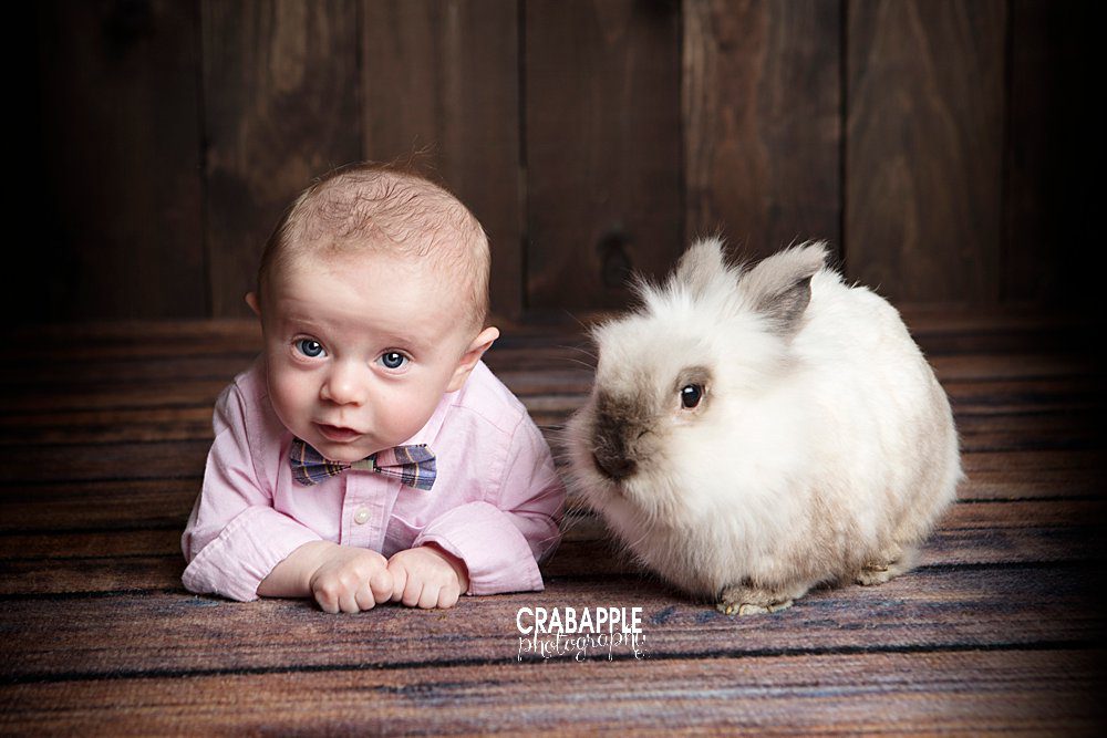 easter baby portraits andover ma with live bunny