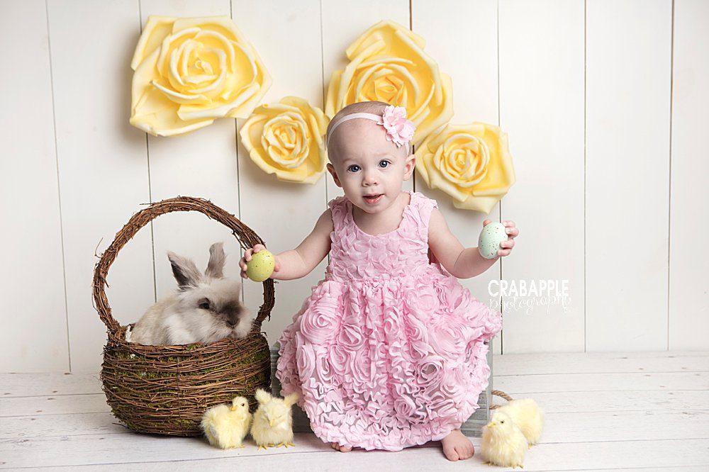 boston baby photographer with bunny