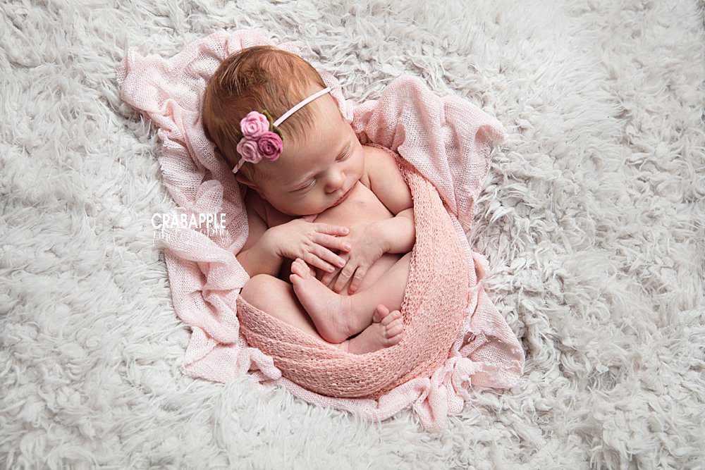danvers newborn photographer