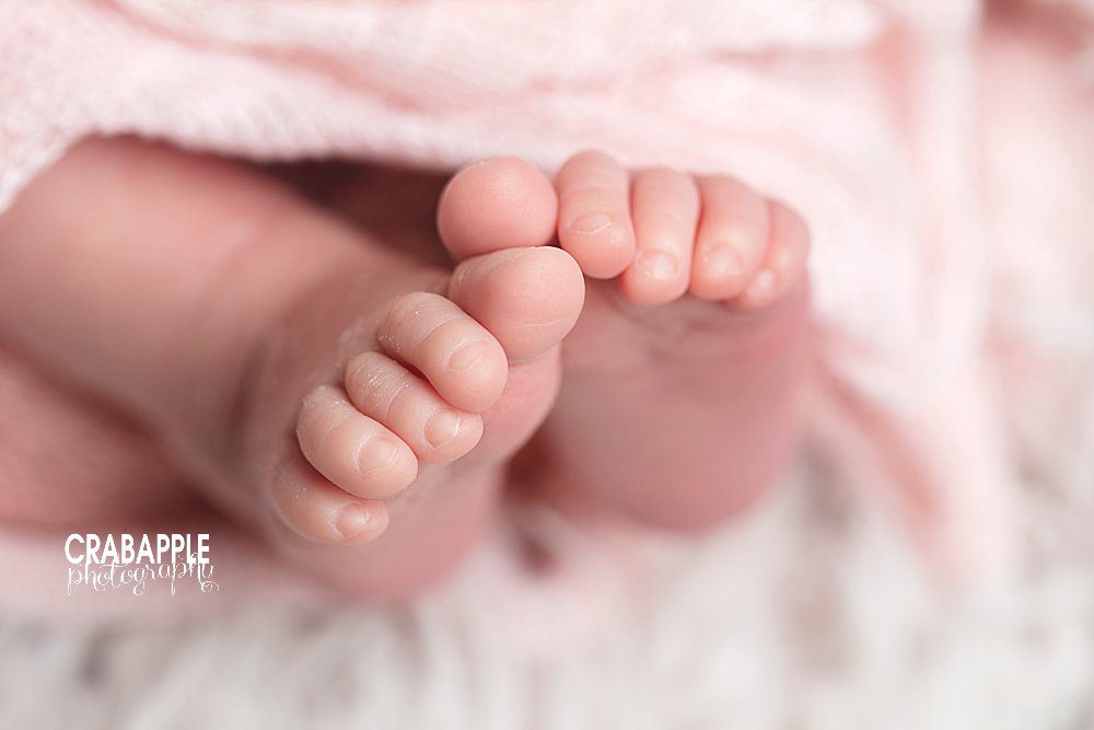 newborn baby toes photo