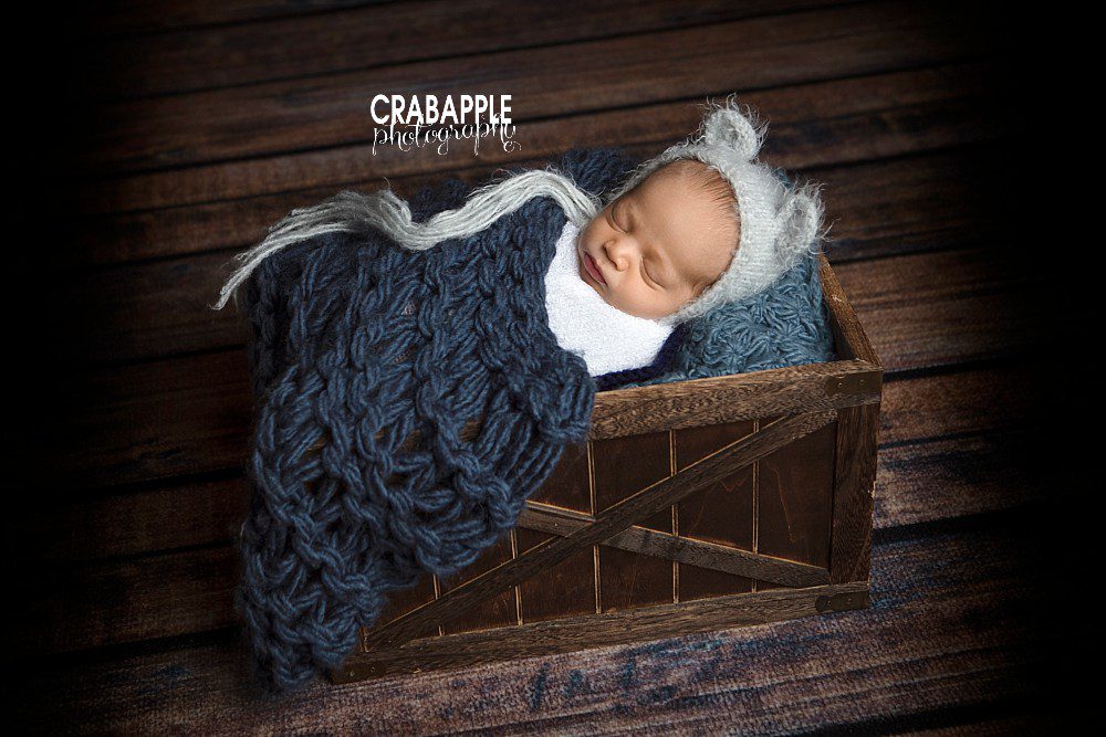 Arlington newborn pictures