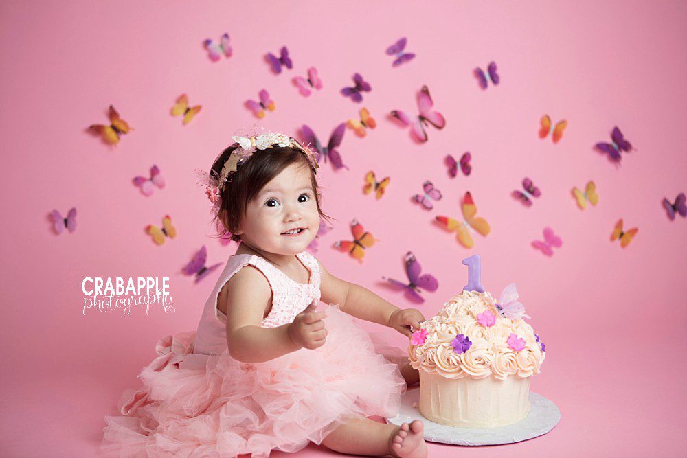 pink butterfly cake smash photos
