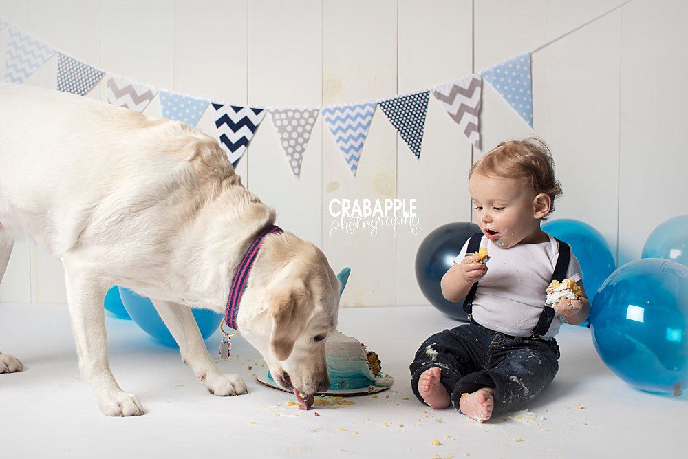 cake smash photos with pet dog